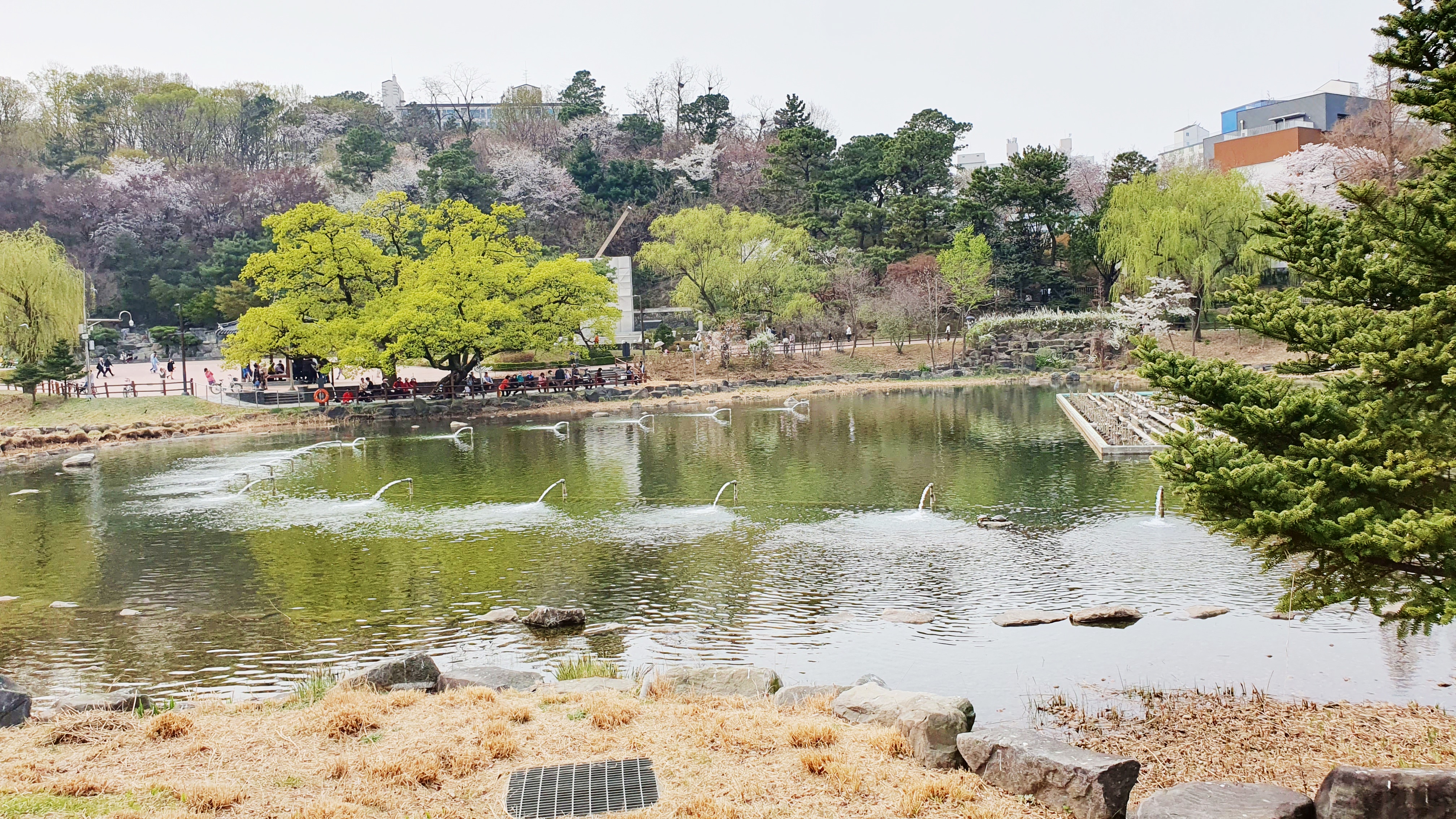 해피하우스 13